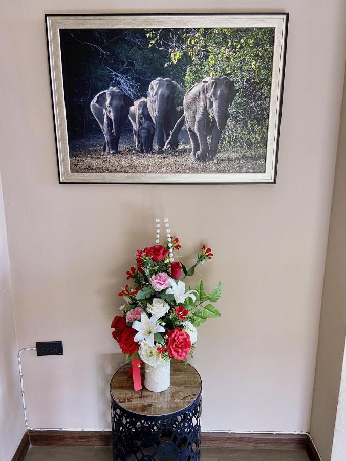 Fang Chiang Mai โรงแรมแฟงเชียงใหม่ Luaran gambar